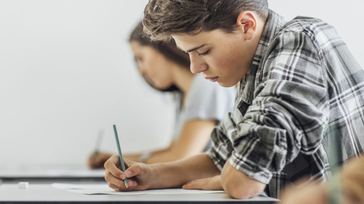 Professor Robert Plomin of King’s College London, who is also a leading geneticist, has proposed a theory that academic success is pre-determined by a child's genes.
