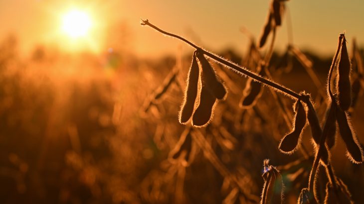 The heat stress associated with climate change will play a larger role in reducing the yields of major U.S. crops than the stress induced by droughts.