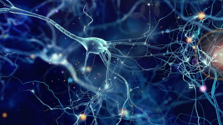 A new study has demonstrated that exercise can change the connections in the brain that are associated with autism spectrum disorder.