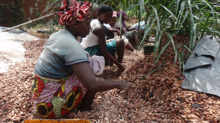 A new study has found that increasing the cost of cocoa could help eliminate child labor from cocoa farms in Ghana, but it would fall on the consumer to pay the premiums.