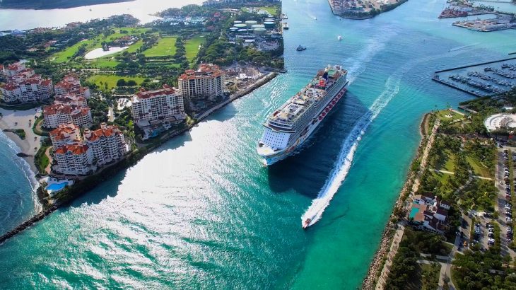 The decimation of over half a million corals in Florida was caused by a 16-month dredging operation in the Port of Miami, a new study shows.