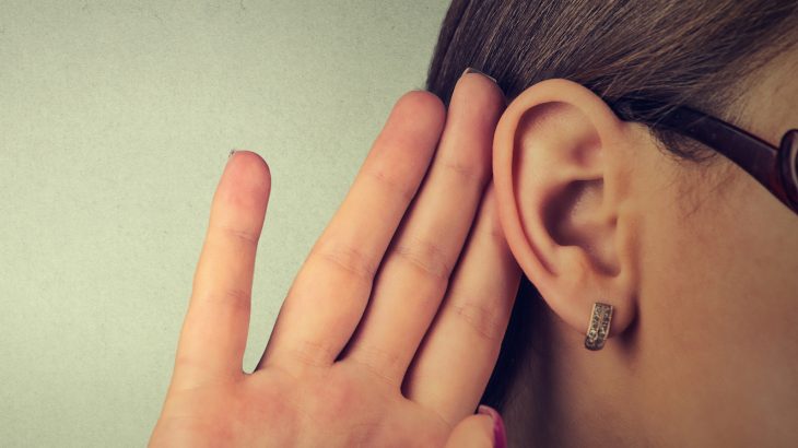 Researchers from the the Massachusetts Institute of Technology discovered key differences in the way macaques and humans hear and process sounds.