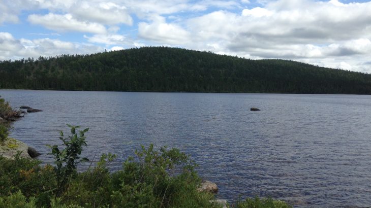 A new study has revealed that the pesticide DDT has persisted in remote lakes in North America for nearly 50 years after it was banned.