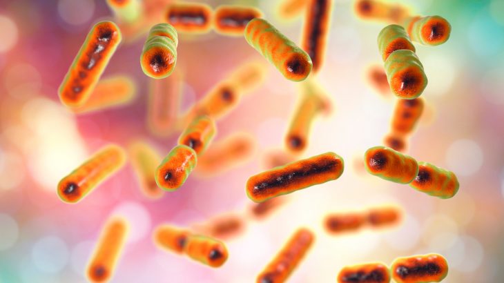 According to a new study published by Cell Press, foods with similar nutrition labels can have very different effects on the human gut microbiome.