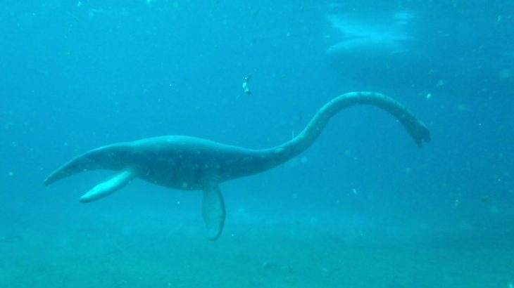 In a remarkable discovery, researchers have finally uncovered one of the largest and heaviest known elasmosaurs, first found on Seymour Island in Antarctica.