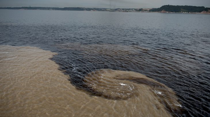 Researchers are unraveling the mystery of how small amounts of organic carbon get stored in rock and sediments instead of decomposing.