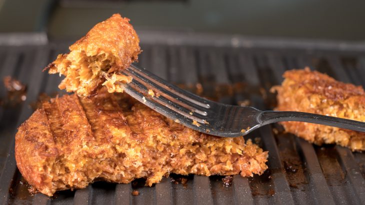 A new report estimates that in the next 20 years, only 40 percent of the world’s meat supply will come from animals.