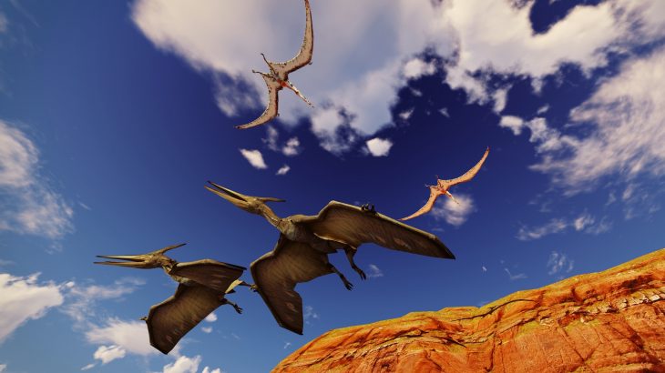 Researchers at the University of Leicester have discovered that pterodactyls were able to fly from the time they were born.
