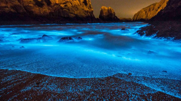 The glowing waters around the East China Sea are known as blue tears and are caused by blooms of plankton that are spreading farther and wider than in previous years.