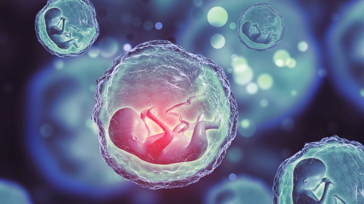 Researchers from Yale University have identified two specific factors that are needed to activate DNA in a new genome.
