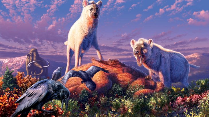 A new study has revealed that hyenas once dwelled in a much different environment than the African and Asian ecosystems where they live today.