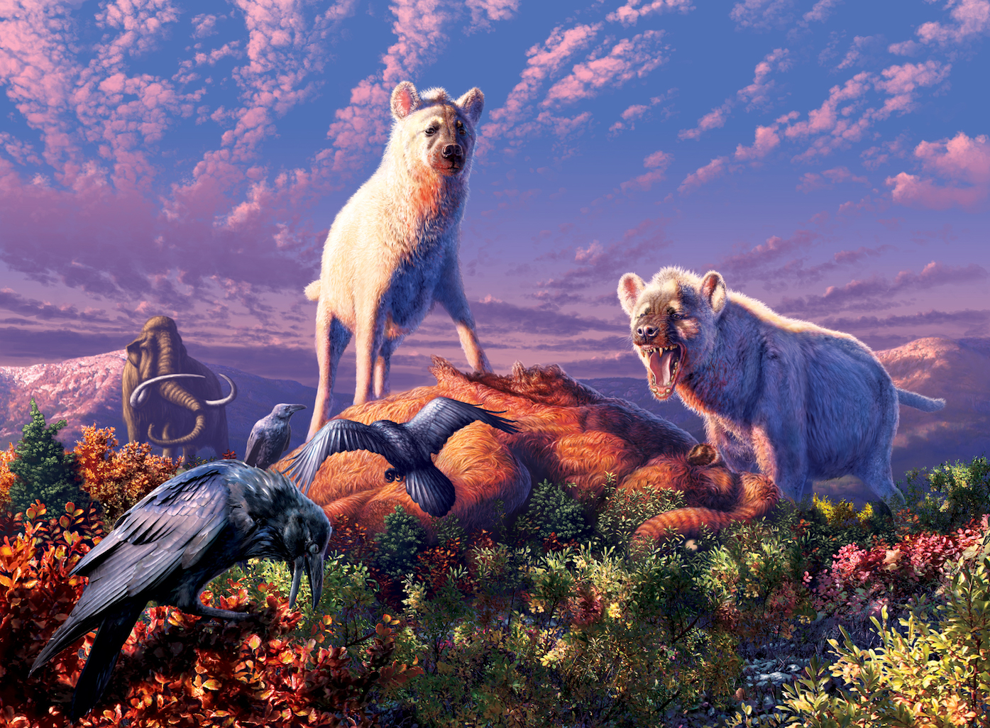 Hyenas lived in the Arctic during the last ice age, study reveals