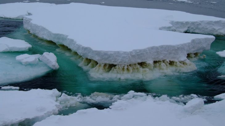 It’s possible that some of the smallest organisms on the planet are the ones most likely to be affected by, as well as have influence on, a changing climate.