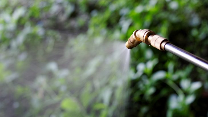 The evolution of herbicide-resistant weeds is a "striking example" of the consequences associated with human activities.