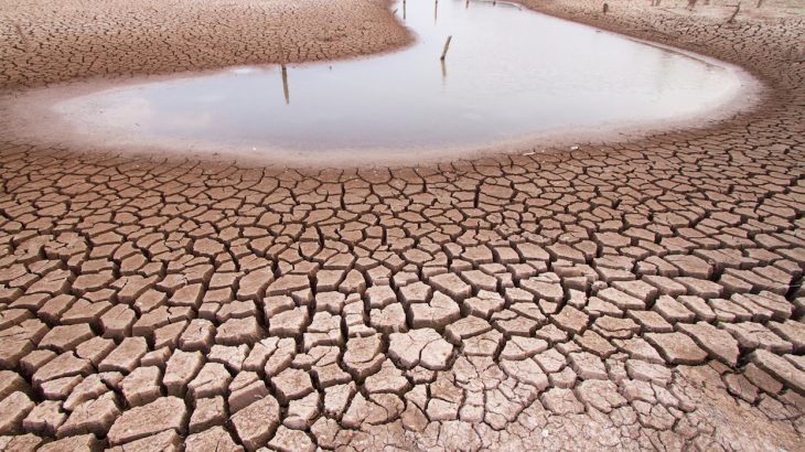Using artificial intelligence, experts have developed a tool to predict where global water conflicts will occur up to a year in advance.