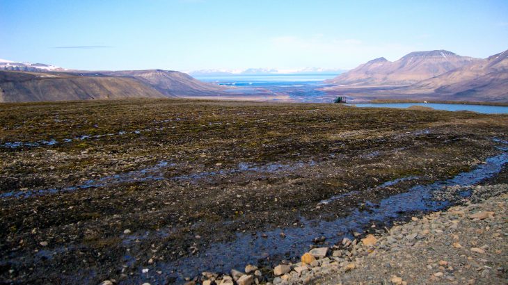 According to a new report, permafrost in the Canadian Arctic is thawing 70 years sooner than previously predicted.