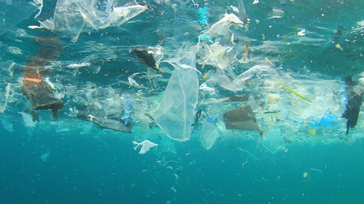 Several new online digital currency systems have been developed to initiate ocean plastic cleanup efforts by offering digital rewards for trash collection.