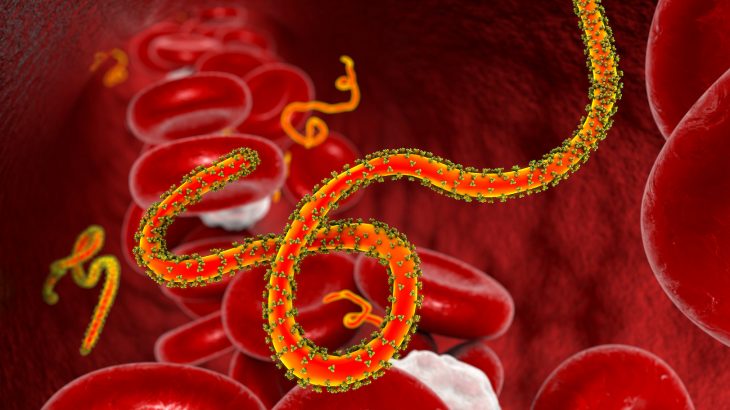 New research from the University of Cambridge has estimated that half of Ebola outbreaks have gone undetected since the virus was first discovered in 1976.