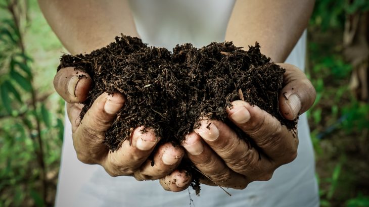 Recompose is a new company offering people the option of being composted after death with a method that uses 1/8 of the energy used for traditional cremation.