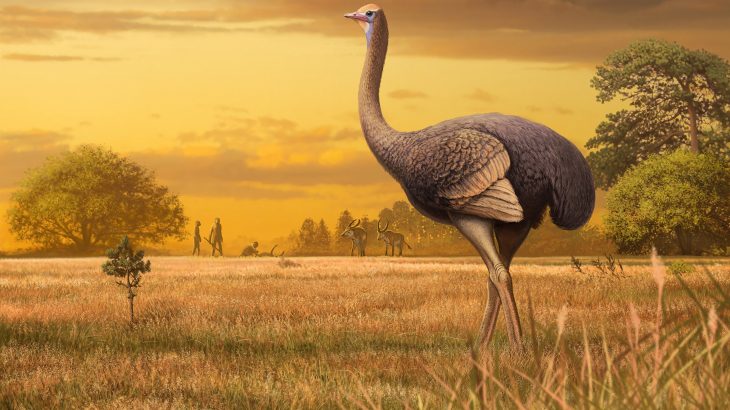 Researchers from the Russian Academy of Sciences recently unearthed a fossil belonging to a behemoth of a bird in a cave in Crimea.