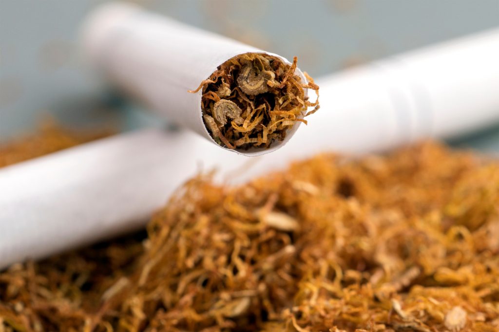 Scientists engineer lownicotine tobacco to help combat nicotine
