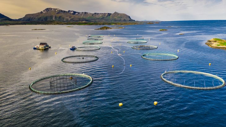 Focusing on individual fish populations is not an effective strategy to protect ecosystems from the damage and insecurity associated with overfishing.