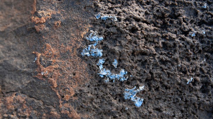 A new kind of plastic pollution - dubbed plasticrust -has been found on the coast of the Portuguese islands of Madeira.