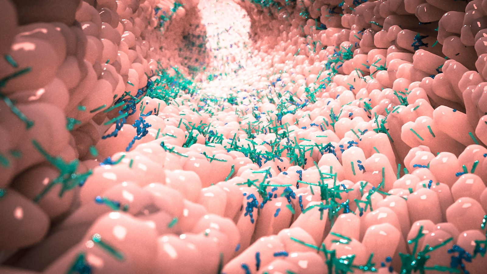 New Tool Can Predict Changes In The Composition Of The Gut Microbiome