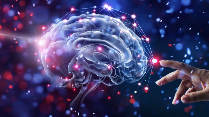 Researchers from Yale have identified not one but three distinct circuits that connect to different brain regions and which are responsible for good and bad decision-making.