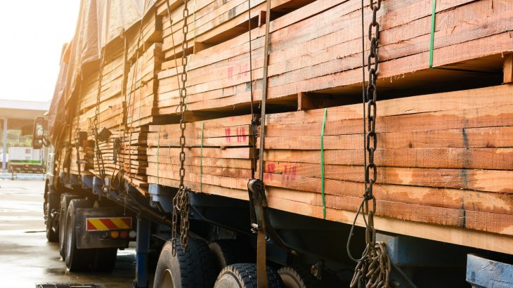 A new study has found that wood products like paper, lumber, and furniture help offset 1 percent of carbon emissions by locking carbon away.