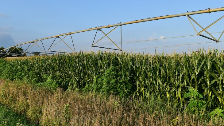 Researchers at the University of Wisconsin-Madison have discovered that irrigated farms in the Central Sands region are having a significant impact on the local climate.