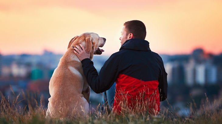A growing collection of studies has revealed that pets and owners share many of the same personality traits.