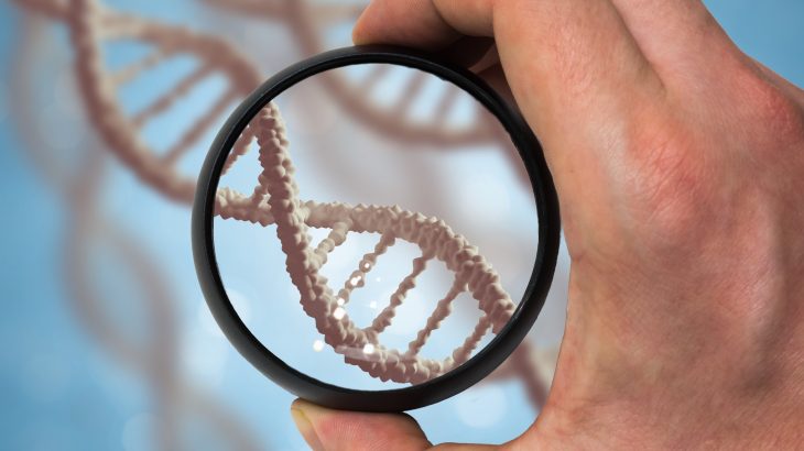 Researchers from the Baylor College of Medicine and the Houston Methodist Research Institute have discovered that a newly described type of stress called chromatin stress can improve longevity.