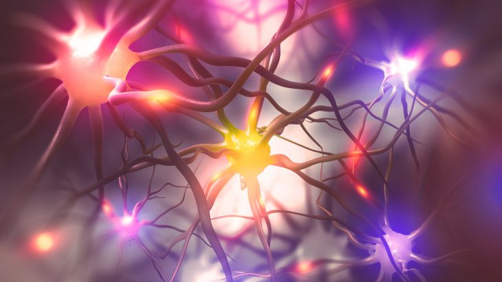 The hunger hormone ghrelin sends hunger signals from the gut to the brain, but now researchers believe that it may also help with memory control.