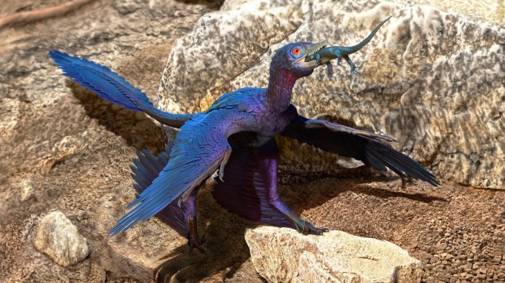 A team of paleontologists led by Professor Jingmai O'Connor of the Chinese Academy of Sciences has discovered a nearly complete lizard preserved in the stomach of a microraptor.