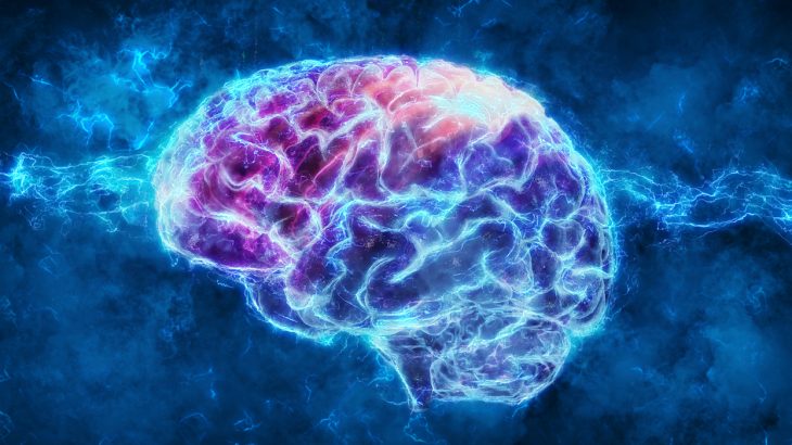 Neuroscientists have found that the area of the brain responsible for planning movements and spatial awareness also plays a major role in decision making,
