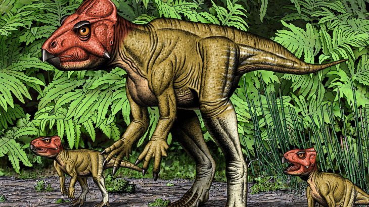 From meager beginnings, Auroraceratops rugosus went on to be recognized as one of the most well-documented early dinosaurs to date.