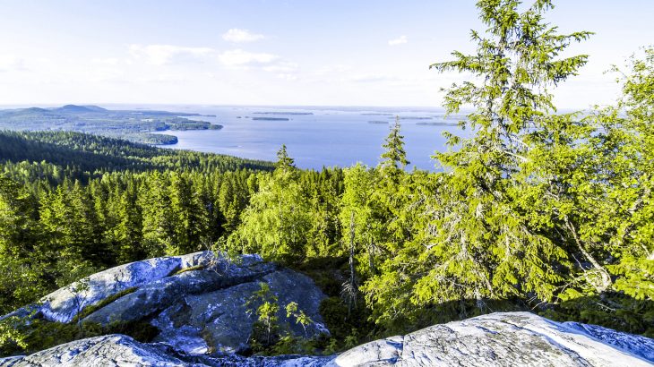 A new study shows that the designation of protected areas in Europe has not been able to completely prevent land cover changes.