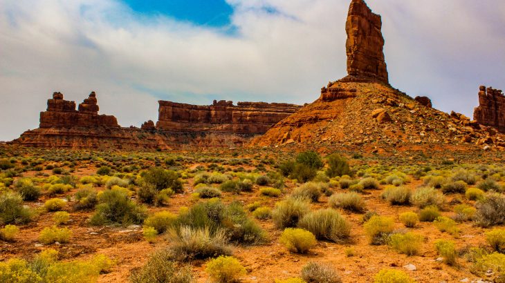 Under the Trump administration, the Bureau of Land Management has turned over a new leaf, giving its critics much of what they asked for and steering the agency in a new direction.