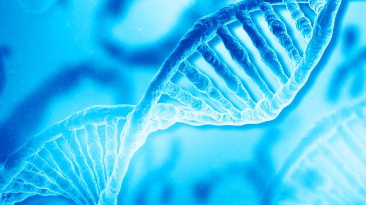Genome-wide variations in gene expression in female and male mammals provides new insight into the origins and evolution of mammalian sexual dimorphism.