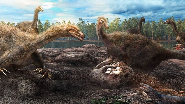 An 80-million-year-old dinosaur nesting site has revealed that mothers worked in groups to protect their eggs just like some birds do today.
