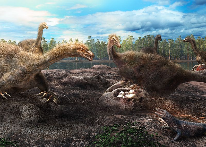 Mother dinosaurs may have protected their nests in groups