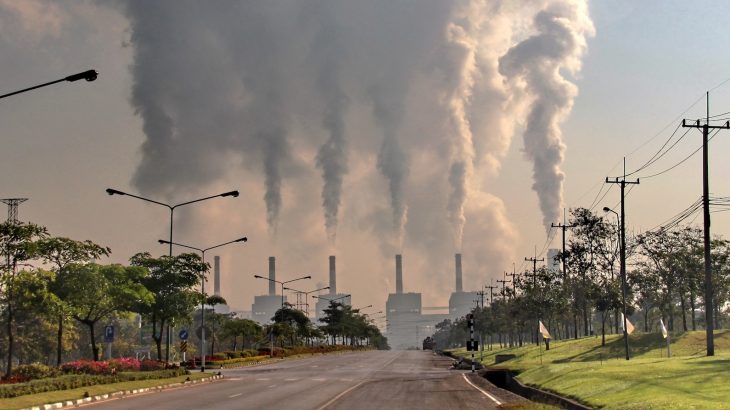 Global warming is likely to blame for Candida auris, an emerging fungus that presents a serious global health threat.