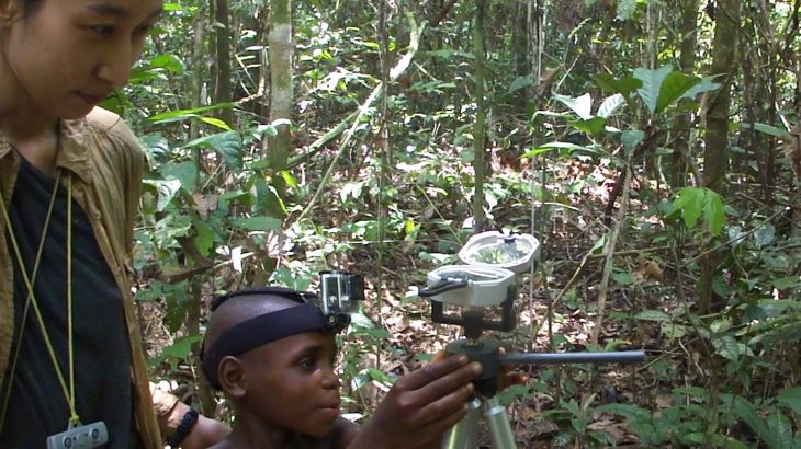 The Mbendjele BaYaka people, a hunter-gatherer society living the Republic of Congo, can accurately orient themselves in the dense rainforest in which they forage and hunt.