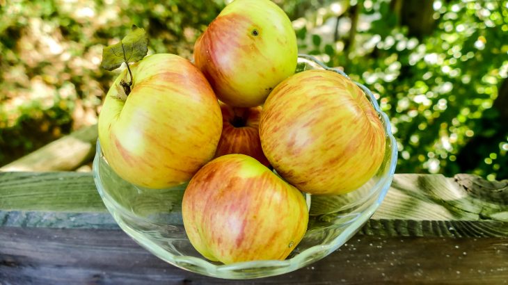 Bacterial communities are much more diverse and balanced in organic apples, which could make them healthier, tastier, and better for the environment.
