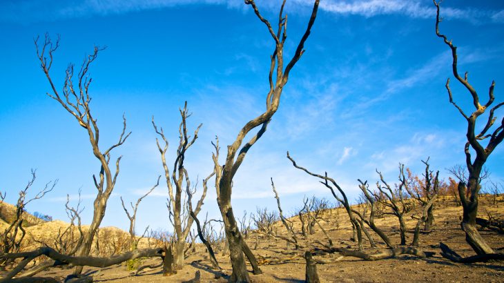 A new study has produced a comprehensive theory of how megadroughts emerged during the medieval period, and the research indicates that climate change could trigger their return.