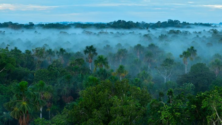 New research has revealed that smoke from fires in Africa is actually fertilizing the Amazon rainforest.