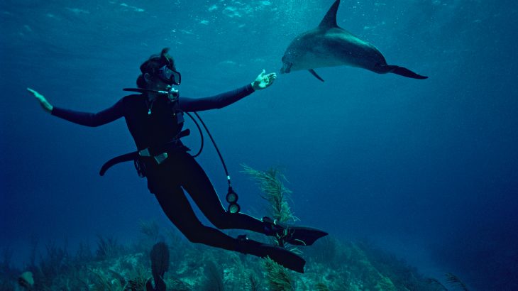 As much as Mission Blue is about our polluted oceans, it is also about never losing hope that it can be saved and never forgetting the wonder and awe it can inspire.