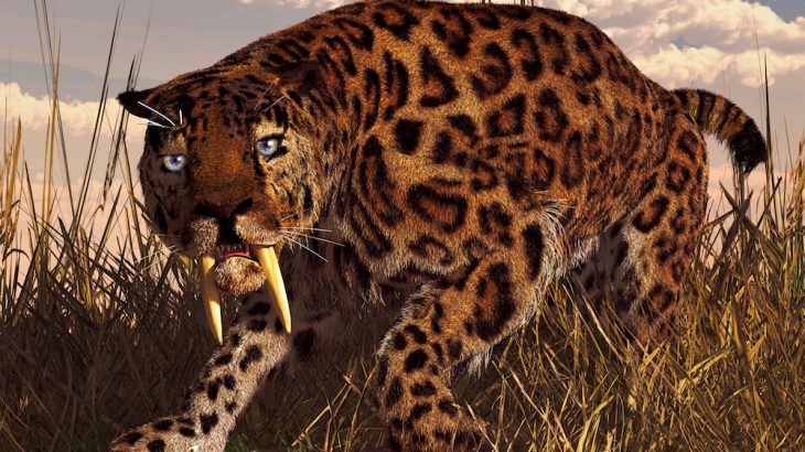 A recent study of ancient predators trapped in the La Brea Tar Pits has revealed why coyotes persisted into modern-day America as opposed to saber-toothed cats.
