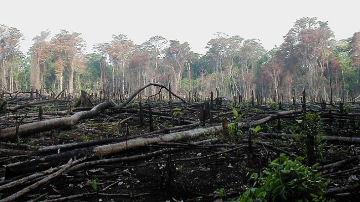 According to a new study, the conflict over natural resources has become very dangerous for protectors on the front lines of the dispute.